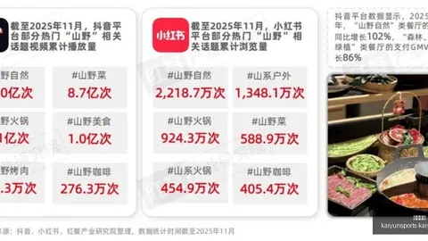 热刺前教头开云体育：凯恩外借之谜，他曾被忽视的潜力巨星
